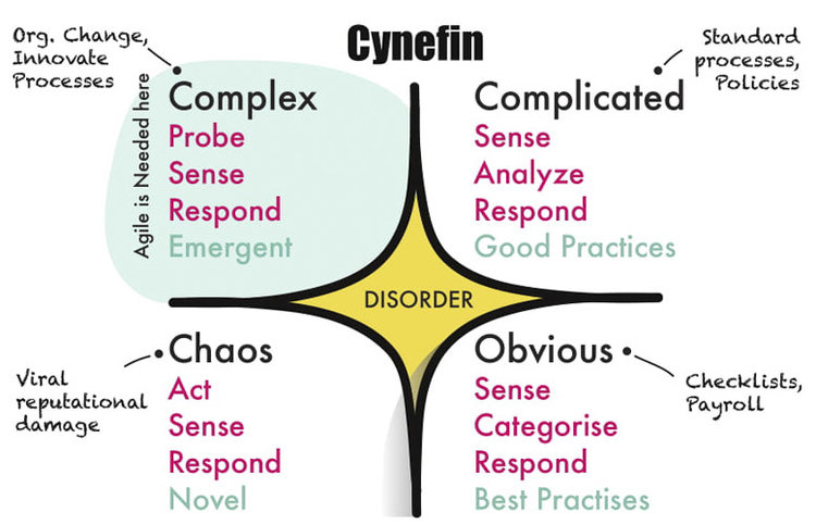 Cyneffin