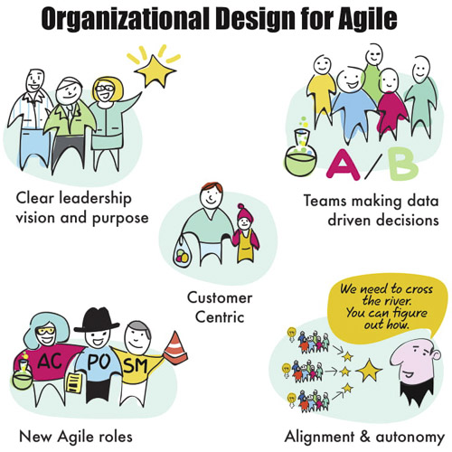Organisational design in Agile HR