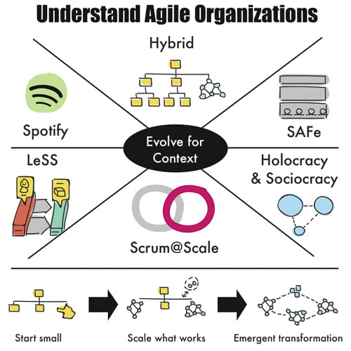 Understanding agile organisations graph